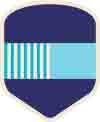 Service Badge