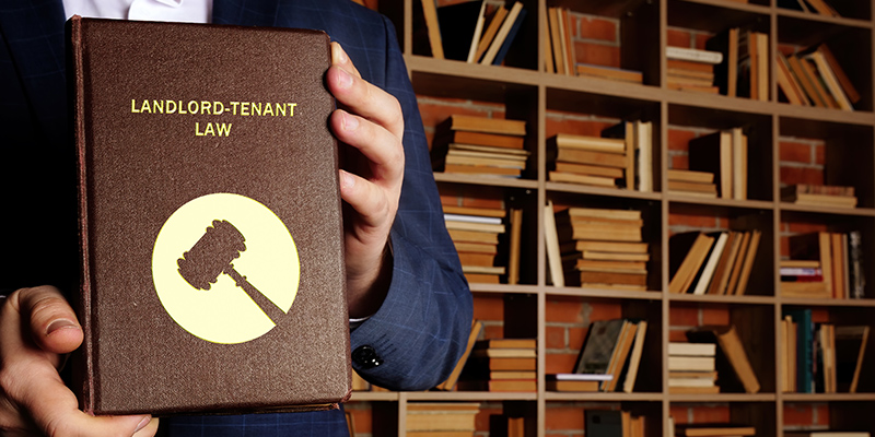 landlord tenant law
