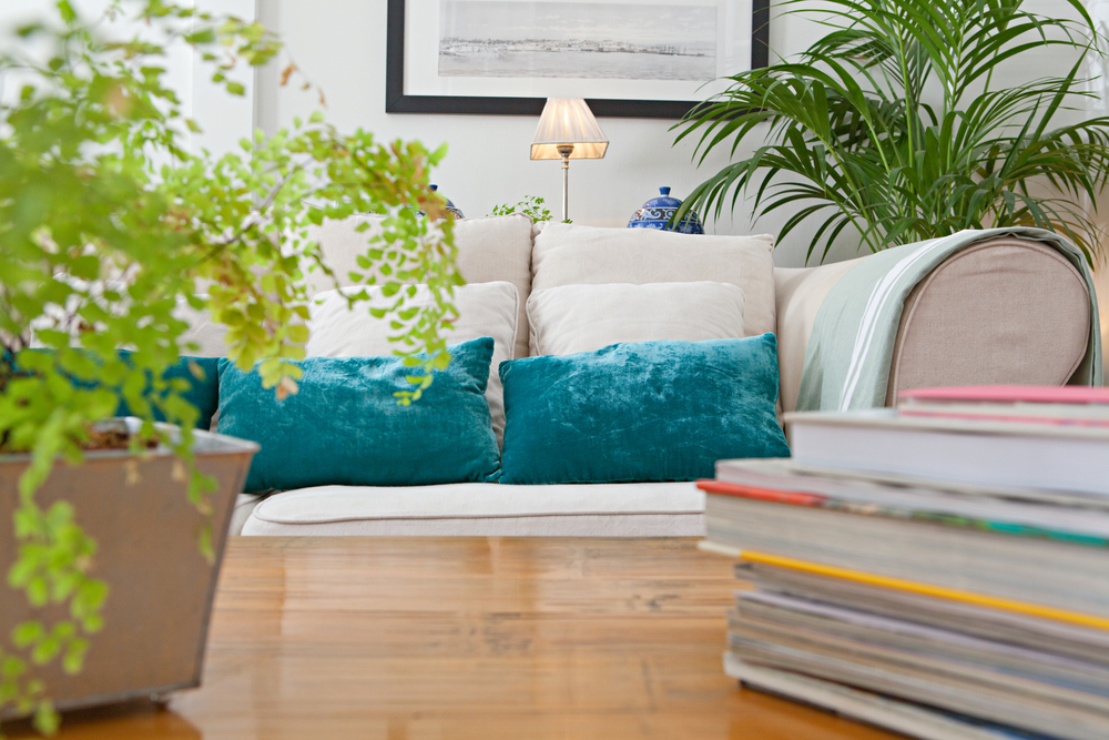 Plants in home