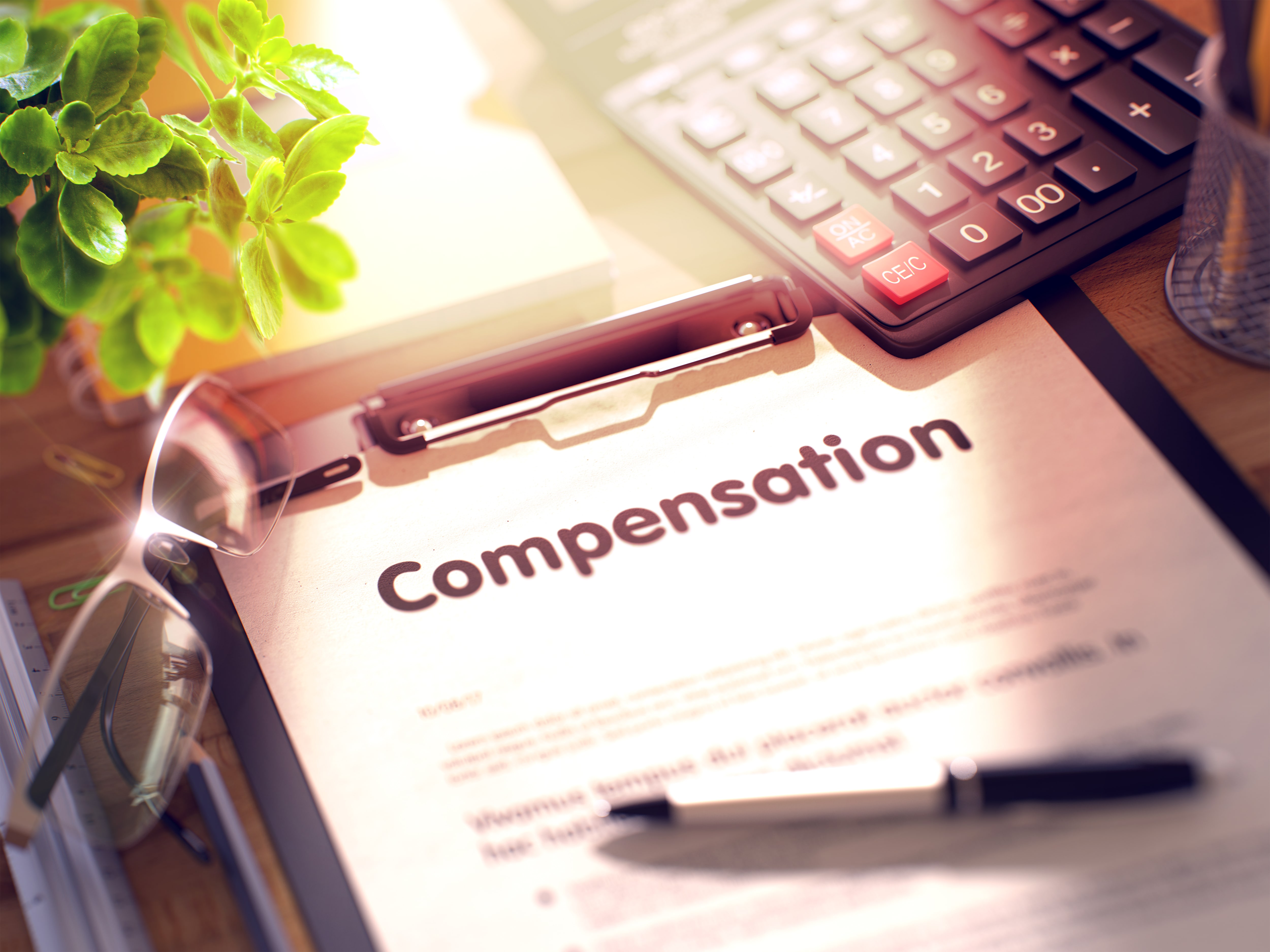 Indemnification and Boiler Plate Items
