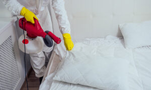 pest control Bed Bugs 